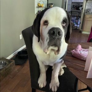 Meet your Posher, Debe